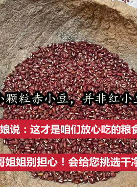 （老人坚持在种的老品种赤小豆）农家自种小颗粒赤小豆而非红小豆
