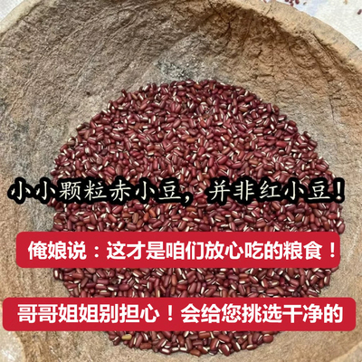 （老人坚持在种的老品种赤小豆）农家自种小颗粒赤小豆而非红小豆