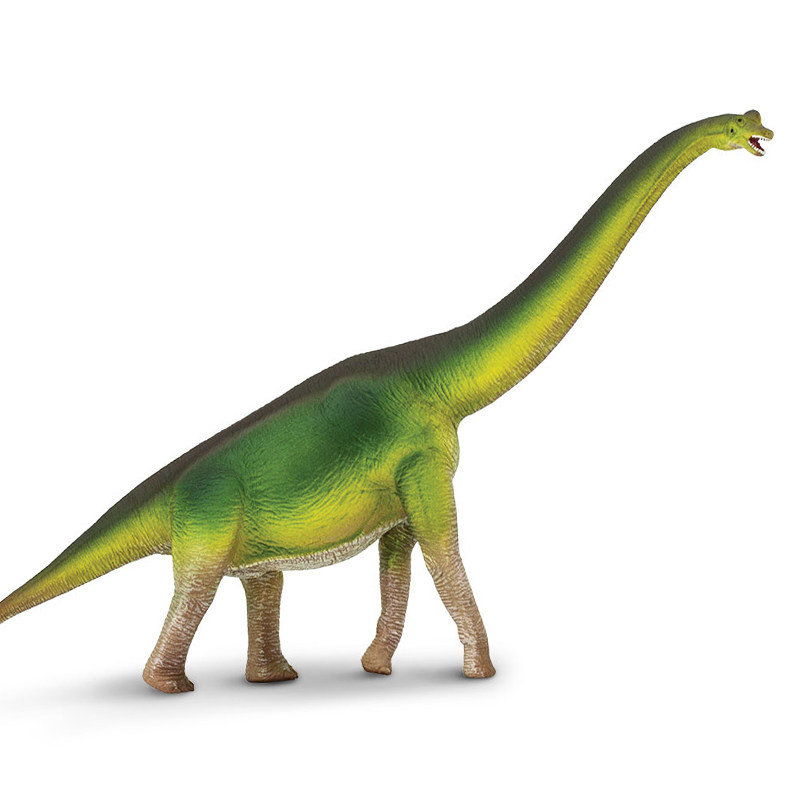 正版safari腕龙马门溪龙梁龙迷惑龙长颈龙模型玩具侏罗纪恐龙摆件