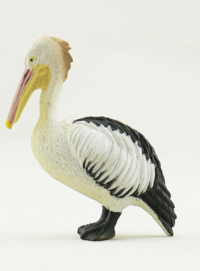 SCIENCE AND NATURE出品澳洲自然与科学 野生动物模型玩具-鹈鹕