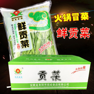 清水贡菜1000g 10袋贡菜新鲜贡菜火锅冒菜非干货苔干贡菜咸菜贡菜