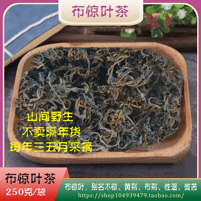 野生布惊茶河源客家特产不惊茶叶代用茶手工炒制五指黄荆叶清香型