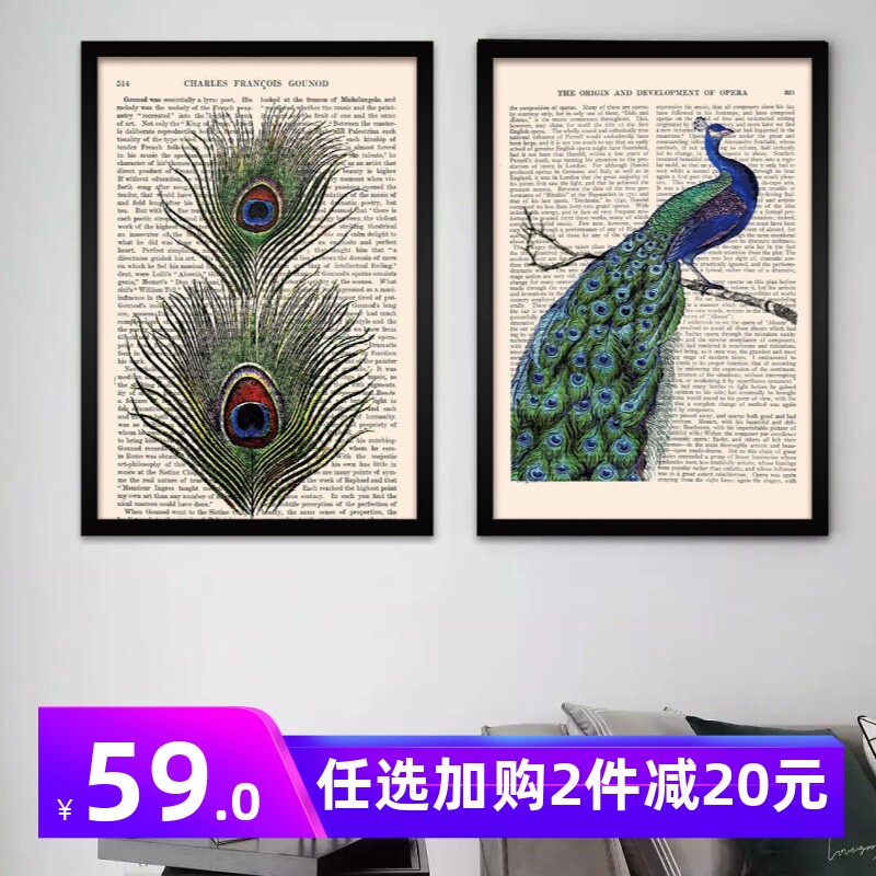 复古孔雀羽毛英文有框简约实木框