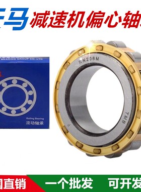 TMB天马轴承减速机RN205 RN206 RN207 RN307 RM309 RN310 RN312 M