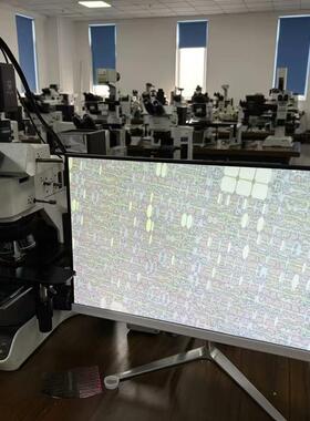 奥林巴斯显微镜BX53MRF-S-议价