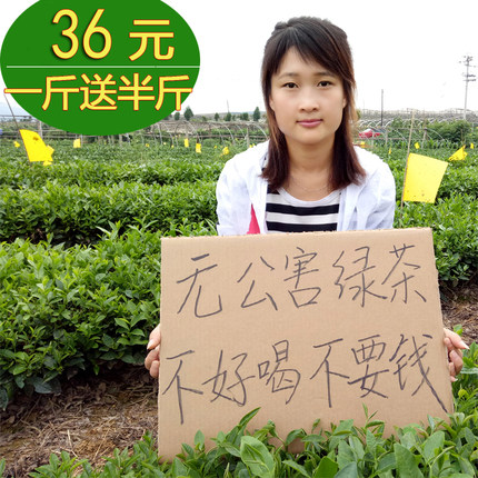 日照绿茶2026新茶春茶云雾茶山东炒青高山茶叶礼盒散装500g浓香
