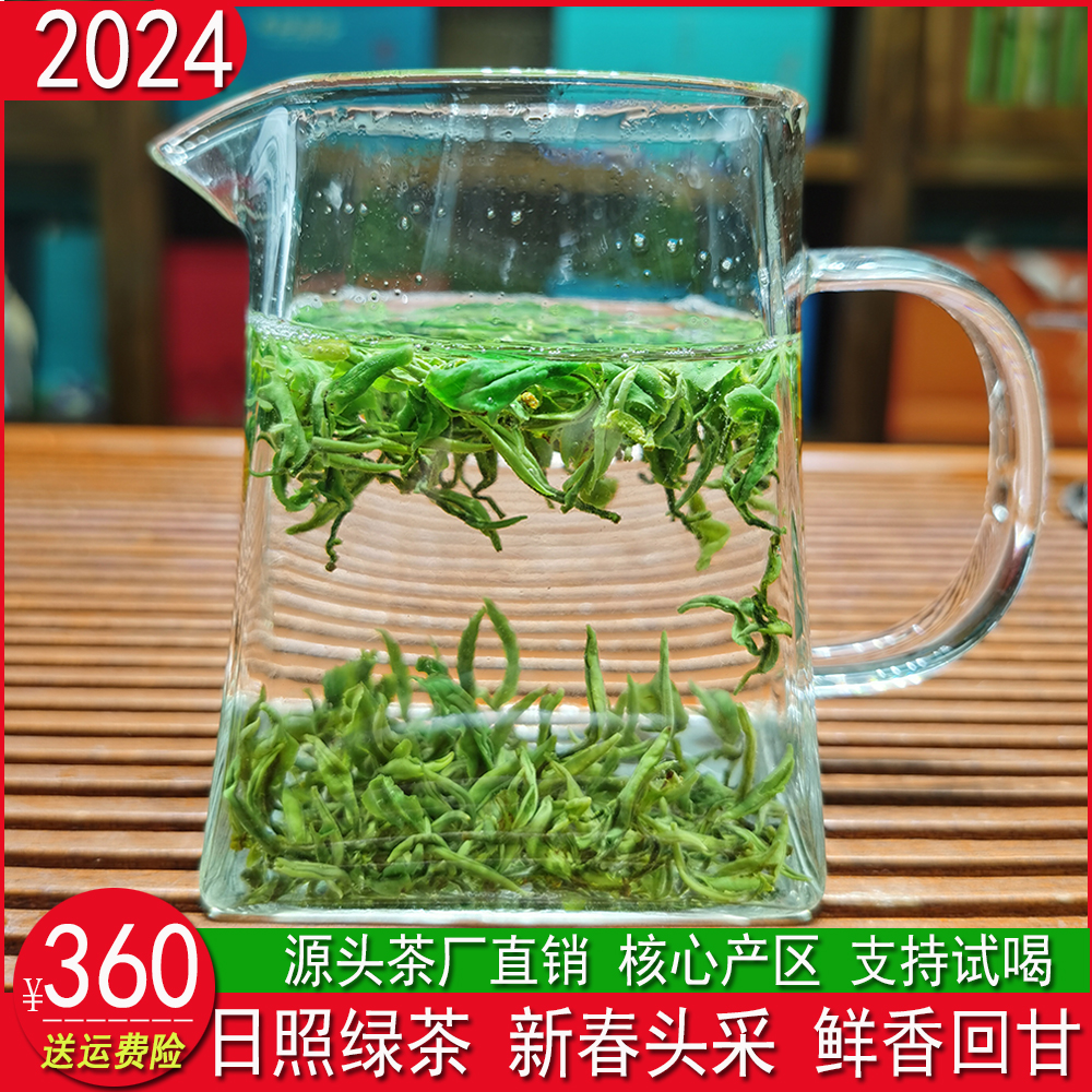 日照绿茶2024新茶特级春茶手工炒制山东炒青茶叶一芽一农家无农害 茶 日照绿茶 原图主图