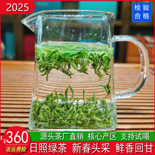 日照绿茶2025新茶特级春茶手工炒制山东炒青茶叶一芽一农家无公害