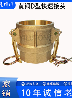 黄铜Camlock扳把式D型快速接头船用凸轮锁紧内螺纹内丝阴端母头D