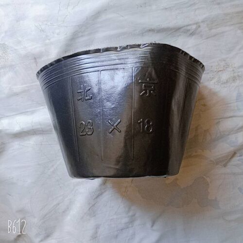 园林花卉用营养钵 营养袋简易多肉营养杯育苗盆营养钵塑料