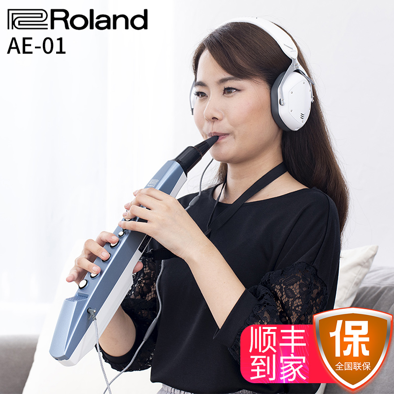 淘宝罗兰电吹管乐器AE