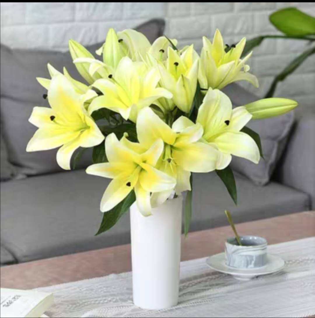 牧笛严选——黄天霸a级香水百合云南鲜花直发空运包邮