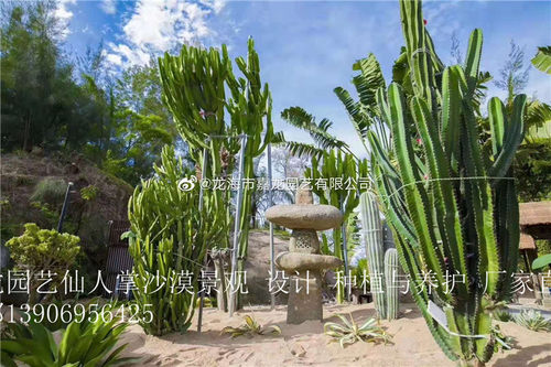 网红植物园景点嘉龙园艺
