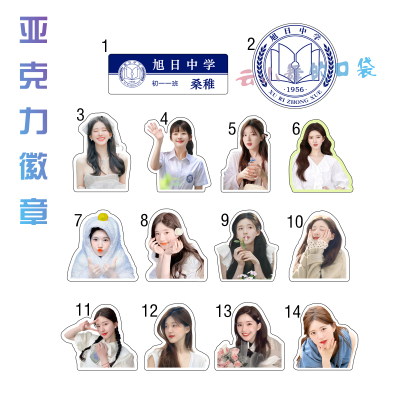 赵露思偷偷藏不住桑稚同款亚克力校牌徽章别针胸针学生书包饰品