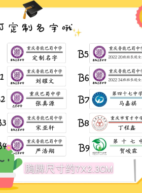 时代少年团胸牌鲁能翔严浩翔胸针
