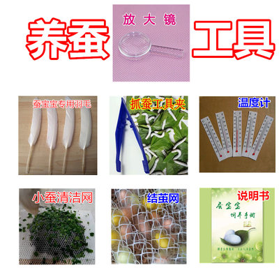 蚕宝宝工具只是没有蚕卵