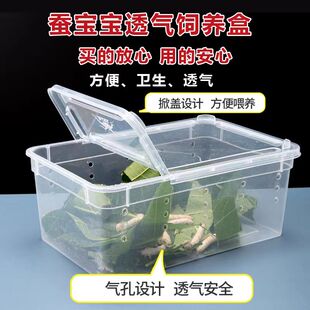 养蚕专用盒蚕宝宝专用饲养盒爬宠饲养箱养蚕用的盒子蚕活体高透养