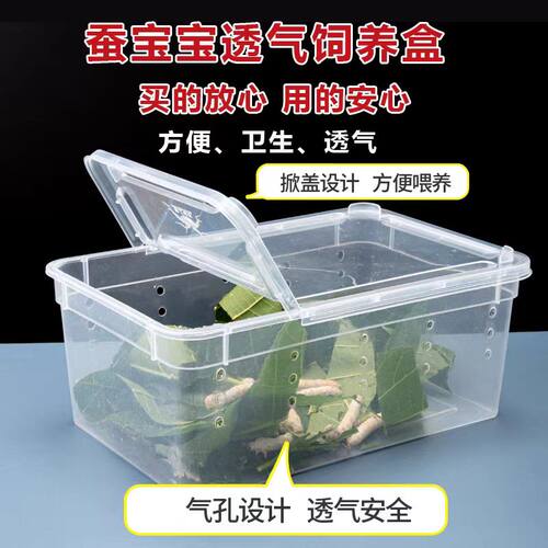 养蚕专用盒蚕宝宝专用饲养盒
