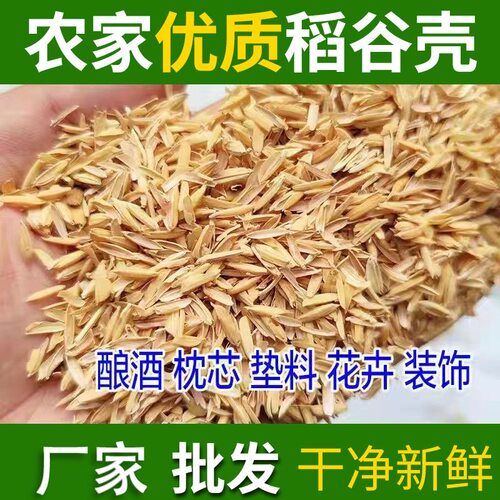 新鲜稻谷壳酿酒发酵床