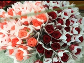 宁波同城鲜花速递3.8女神节商场物业顾客业主单支玫瑰康乃馨鲜花