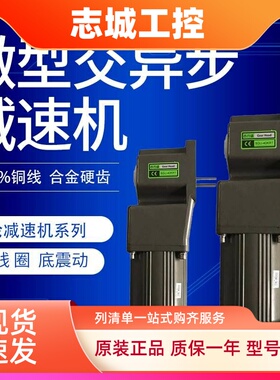 6W15W25W40W60W120W180W200W250W300W400W齿轮调定减速口罩机电机