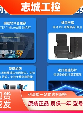 国产S7-200 SMART 兼容西门子 PLC CR40 SRST30SRST40EMAE主机模