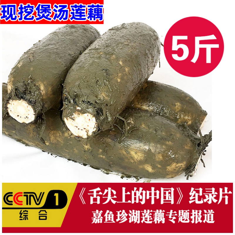 湖北煲汤莲藕新鲜现挖粉糯莲藕