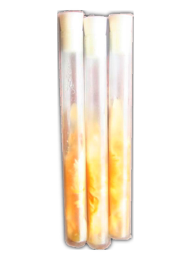 北虫草菌种一级母种大头蛹虫草