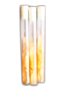 北虫草菌种试管种一级菌种母种大头尖头孢子头蛹虫草 60元一支