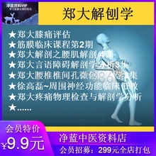 郑大解剖学全集徐高磊分析功能解剖疼痛物理检查筋膜临床课程