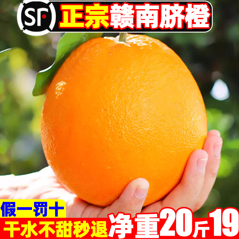 【顺丰】赣州直发赣南脐橙10斤19