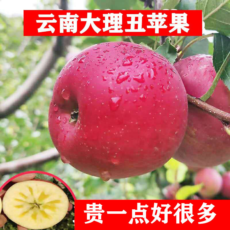 云南大理冰糖心丑苹果新鲜产地现摘整箱水果非昭通新疆红富士,水产肉类/新鲜蔬果/熟食,苹果,淘宝优惠券,粉丝福利购,淘宝优惠卷