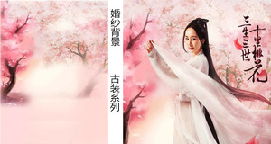 影楼主题摄影背景盘子古装儿童背景影棚拍照背景三生三世十里桃花