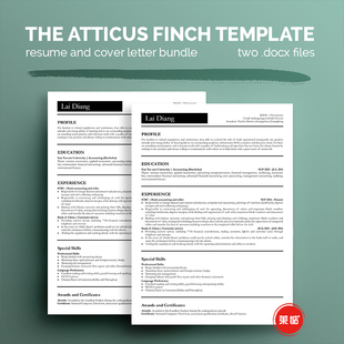 海外英文标准简历模板 外企人气面试英文简历 简洁大气 ER0006