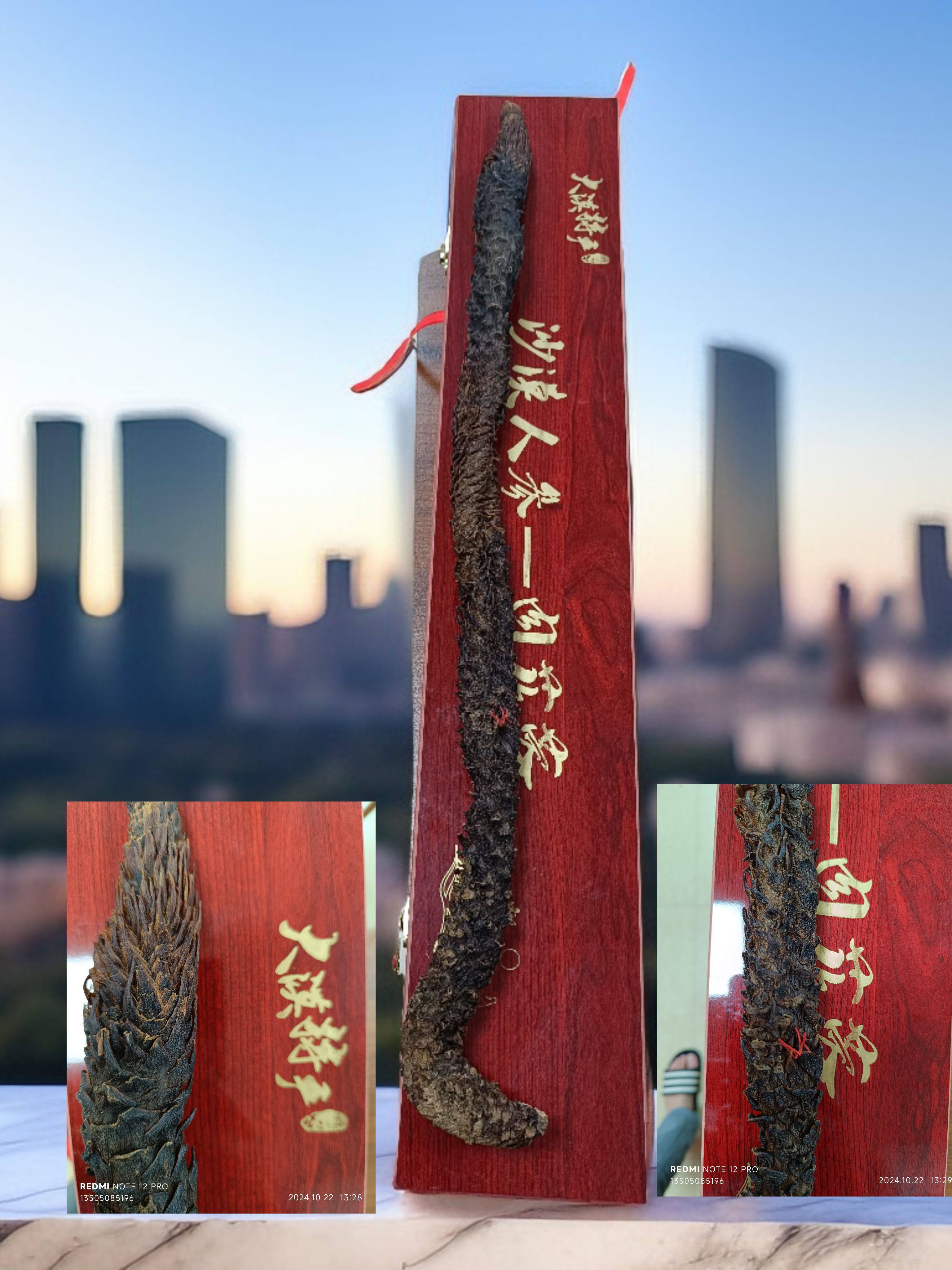益从容 荒漠肉苁蓉 内蒙古阿拉善沙漠人参养生补虚保健泡酒 调理