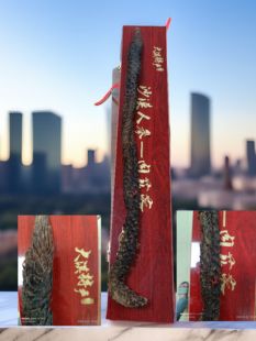 益从容 荒漠肉苁蓉 内蒙古阿拉善沙漠人参养生补虚保健泡酒 调理