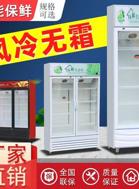 冷藏柜啤酒柜饮料柜冰柜保鲜商用