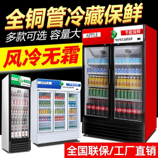饮料柜展示柜冷藏超市啤酒立式冰柜商用单双门三门风冷水果保鲜柜