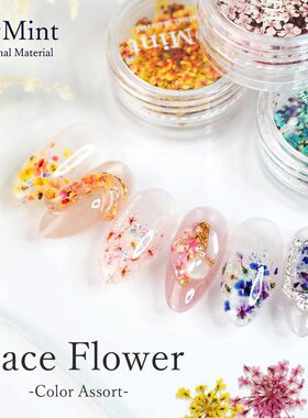 现货日本S Mint天然工艺干花押花 Lace Flower系列三色小干花