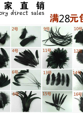 20款黑色羽毛 diy手工饰品配件羽毛 胸花羽毛 头饰羽毛 帽子羽毛