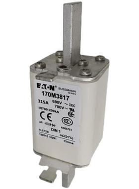 170M3244 170M3245 170M3246 170M3247 170M3248熔断器 保险丝