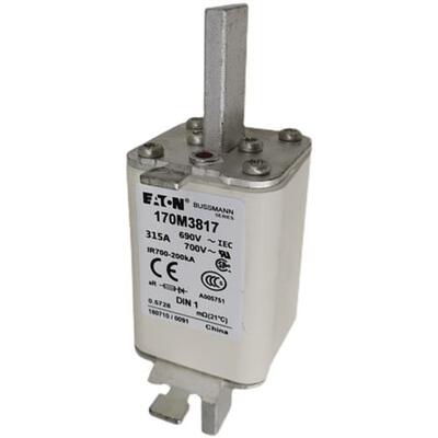 170M3244 170M3245 170M3246 170M3247 170M3248熔断器 保险丝