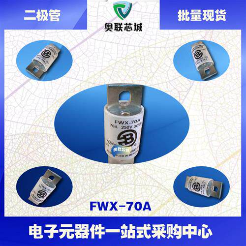 FWX-50A  FWX-60A  FWX-70A  BUSSMANN巴斯曼快速熔断保险丝
