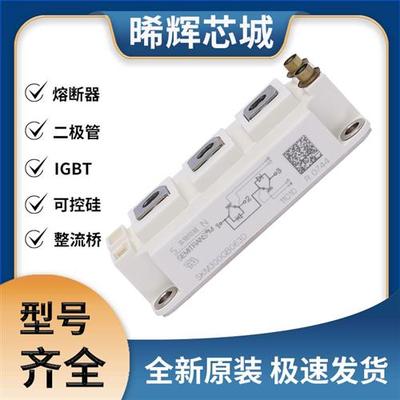 SKM300GB063D SKM300GB066D IGBT 可控硅模块 极速发货 现货直拍