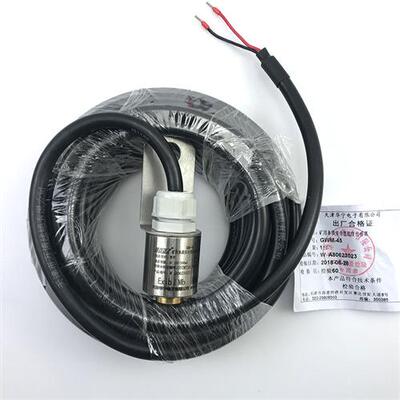 GWM-45矿用本质安全型温度传感器煤矿皮带保护GWM45-W