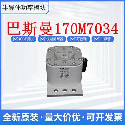 熔断器保险丝 170M7034 170M7035 170M7036 170M7058 170M7059