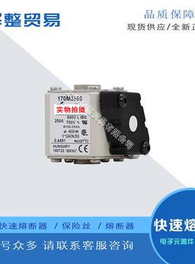 巴斯曼快速熔断器170M3568 170M3569 170M3570 170M3571 170M3572