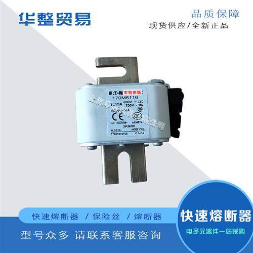 巴斯曼全新正品原装快速熔断器保险丝170M6117 170M6118 170M6119