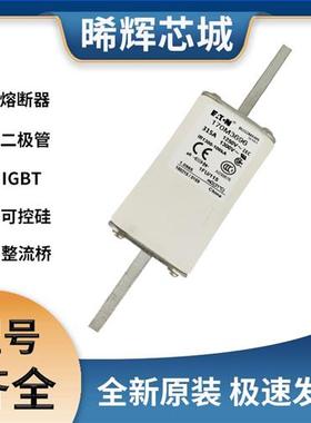 170M3696可控硅 可控硅模块 极速发货 现货可直拍