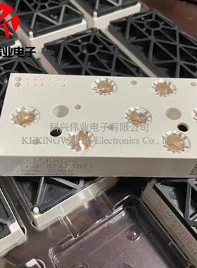 SKIIP83AC12IT1 SKIIP82AC12IT1 SKIIP81AC12IT1 SKIIP83EC125T1